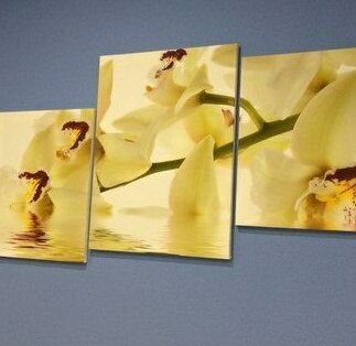 Модульная картина